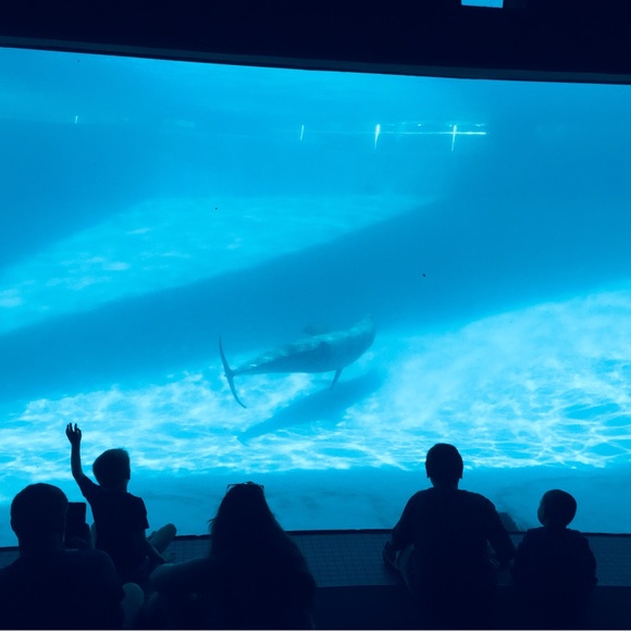 Meet your Posher, Drucilla - Picture 4 of 16